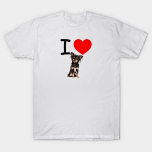 I HEART FLUFFY Chihuahua T-Shirt